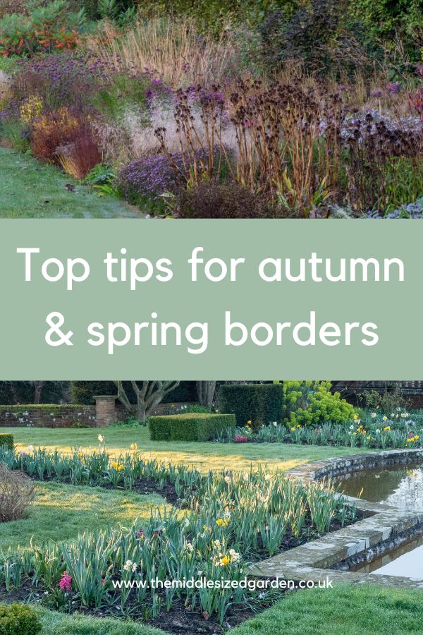 Good border repairs – what to do now for subsequent summer time season’s success – The Center-Sized Yard