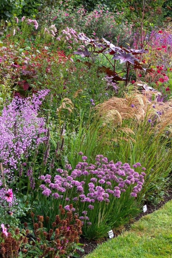 Good yard border inspiration – recommendations on the way to decide on colors, shapes & growth – The Center-Sized Yard