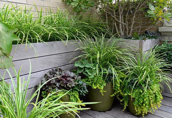 Easy Small Yard Design Concepts, Ideas & Methods • The Yard Glove