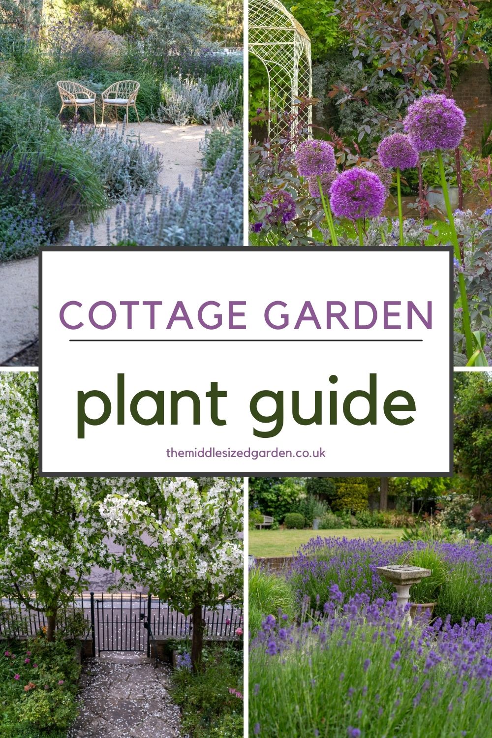 Finest cottage yard vegetation – 25 fairly flowers to develop – The Coronary heart-Sized Yard